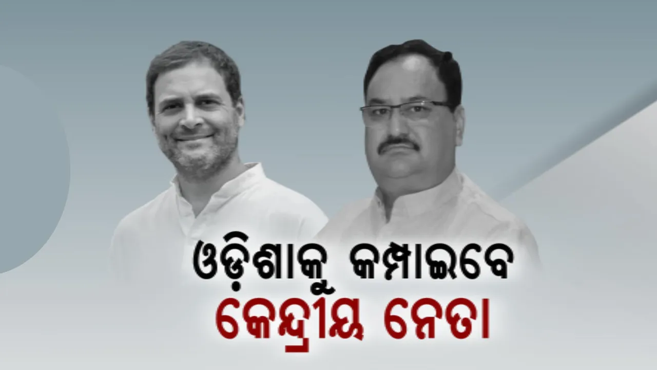  ଆସନ୍ତାକାଲି କେନ୍ଦ୍ରୀୟ ନେତାଙ୍କ ପ୍ରଚାରରେ କମ୍ପିବ ଓଡ଼ିଶା । ଆସୁଛନ୍ତି ରାହୁଲ ଗାନ୍ଧୀ ଓ ଜେପି ନଡ୍ଡା