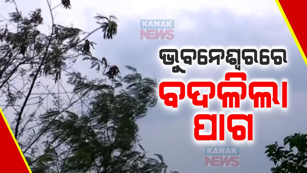  ଓଃ ! କି ଶାନ୍ତି... ଯାହା ହେଉ ଟିକେ ବର୍ଷା ହେଲା । ପାଗରେ ପରିବର୍ତ୍ତନ ଫଳରେ ଡହଡହ ଖରାରୁ ତ୍ରାହି ମିଳିଲା...