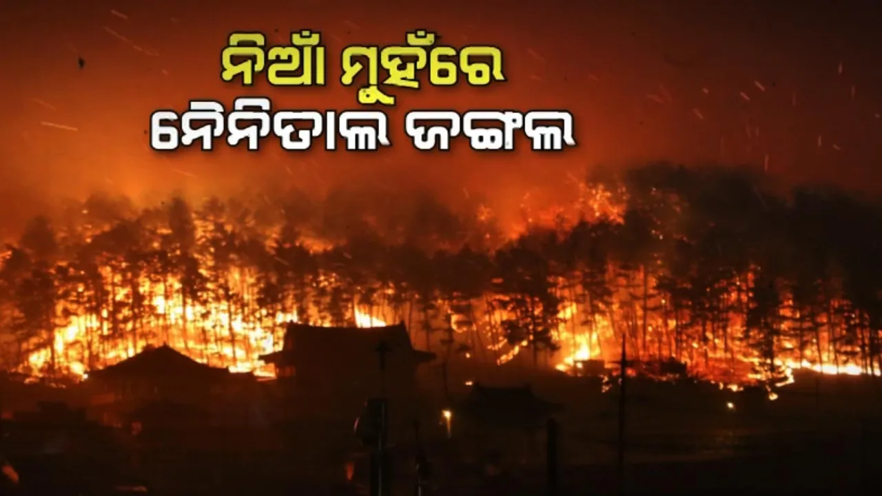  ନିଆଁ ମୁହଁରେ ଉତରାଖଣ୍ଡର ନୈନିତାଲ ଜଙ୍ଗଲ । ୩୬ଘଂଟାରେ ୩୦ ପ୍ରତିଶତ ଜଙ୍ଗଲ ପୋଡ଼ି ପାଉଁଶ,ଅଗ୍ନିକାଣ୍ଡ କାବୁ ପାଇଁ ବାୟୁସେନା ନିୟୋଜିତ