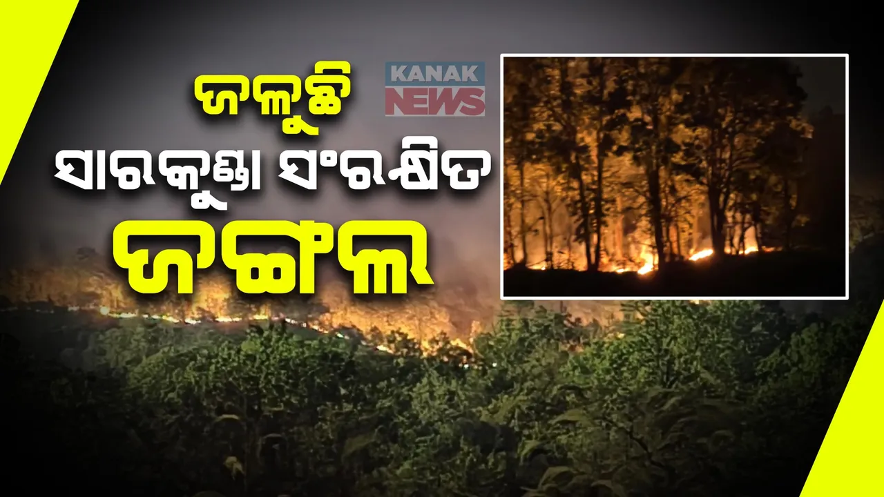  ରାଜ୍ୟରେ ଥମୁନି ଜଙ୍ଗଲ ନିଆଁ । ସୁନ୍ଦରଗଡ ସାରକୁଣ୍ଡା ଜଙ୍ଗଲରେ ଲାଗିଛି ନିଆଁ, ବହୁ ମୂଲ୍ୟବାନ ଗଛ ପୋଡି ପାଉଁଶ ।