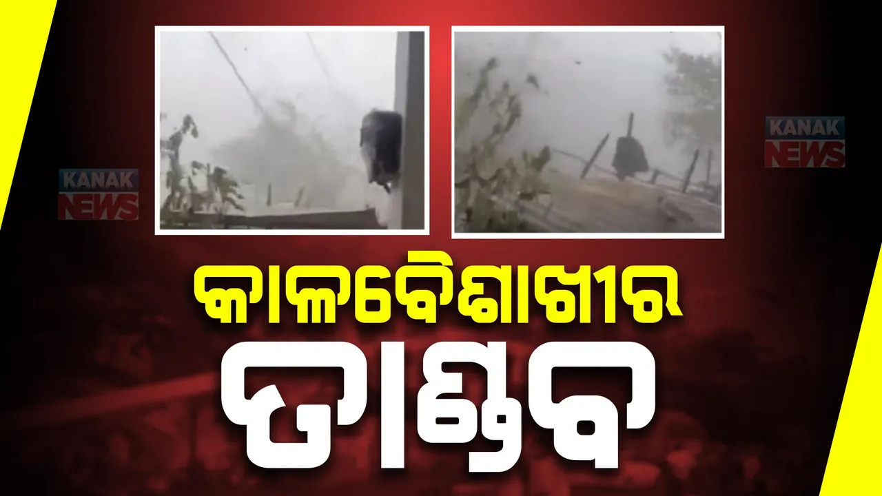  ଗଞ୍ଜାମ ପୁରୁଷୋତମପୁରରେ କାଳବୈଶାଖୀର ତାଣ୍ଡବ । ଉପୁଡ଼ି ପଡ଼ିଲା ଗଛ, ଉଡ଼ିଗଲା ଛପର