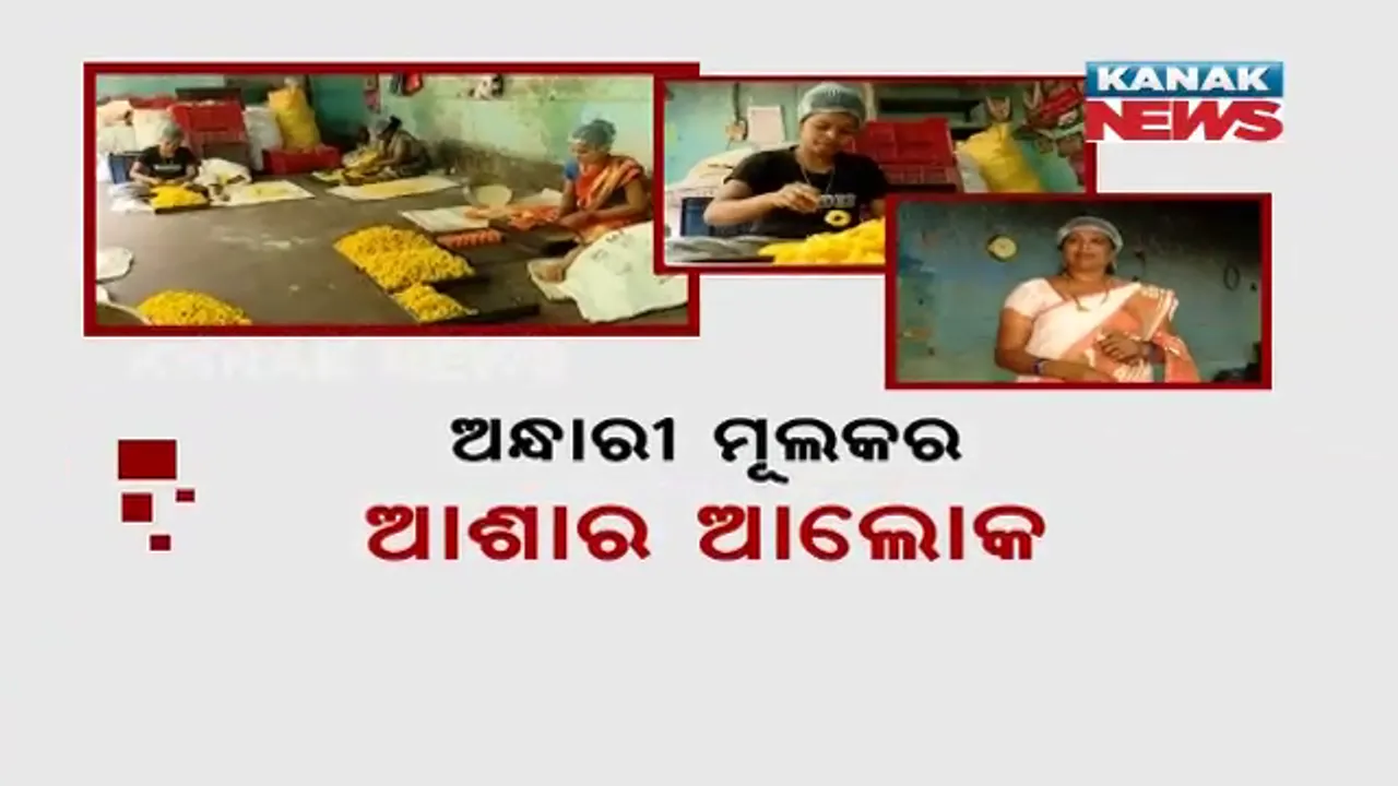  ନାଡ଼ି ବ୍ୟବସାୟରୁ ଉଦ୍ୟୋଗୀ ମହିଳା । ନିଜେ ରୋଜଗାର କରିବା ସହ ୨୦ଟି ପରିବାର ପାଇଁ ଅନ୍ନଦାତ୍ରୀ ପାଲଟିଛନ୍ତି ଜୟପୁରର ଗୌରେଶ୍ୱରୀ