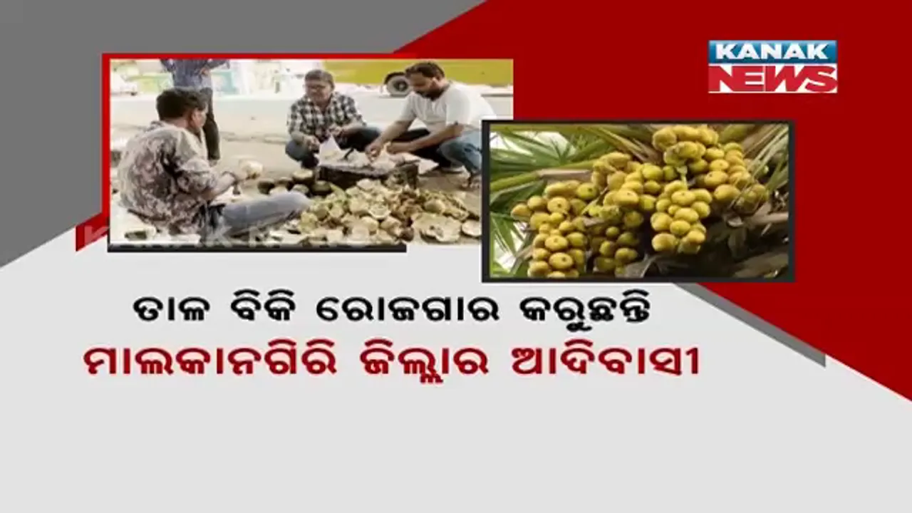  ଖରାଦିନେ ଜମୁଛି ତାଳସଜ ବେପାର । ତାଳସଜ ବିକ୍ରି କରି ଲାଭବାନ ହେଉଛନ୍ତି ଆଦିବାସୀ ।