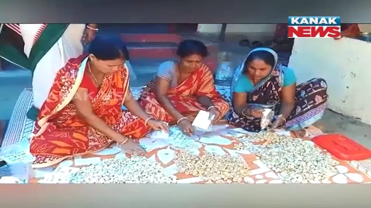  ବିରିବଡ଼ିରୁ ଭଲ ରୋଜଗାର । ପାଣି କଖାରୁ ଓ ବିରିରେ ବଡ଼ି ପ୍ରସ୍ତୁତ କରୁଛନ୍ତି ସ୍ୱଂୟ ସହାୟକ ଗୋଷ୍ଠୀର ସଦସ୍ୟା