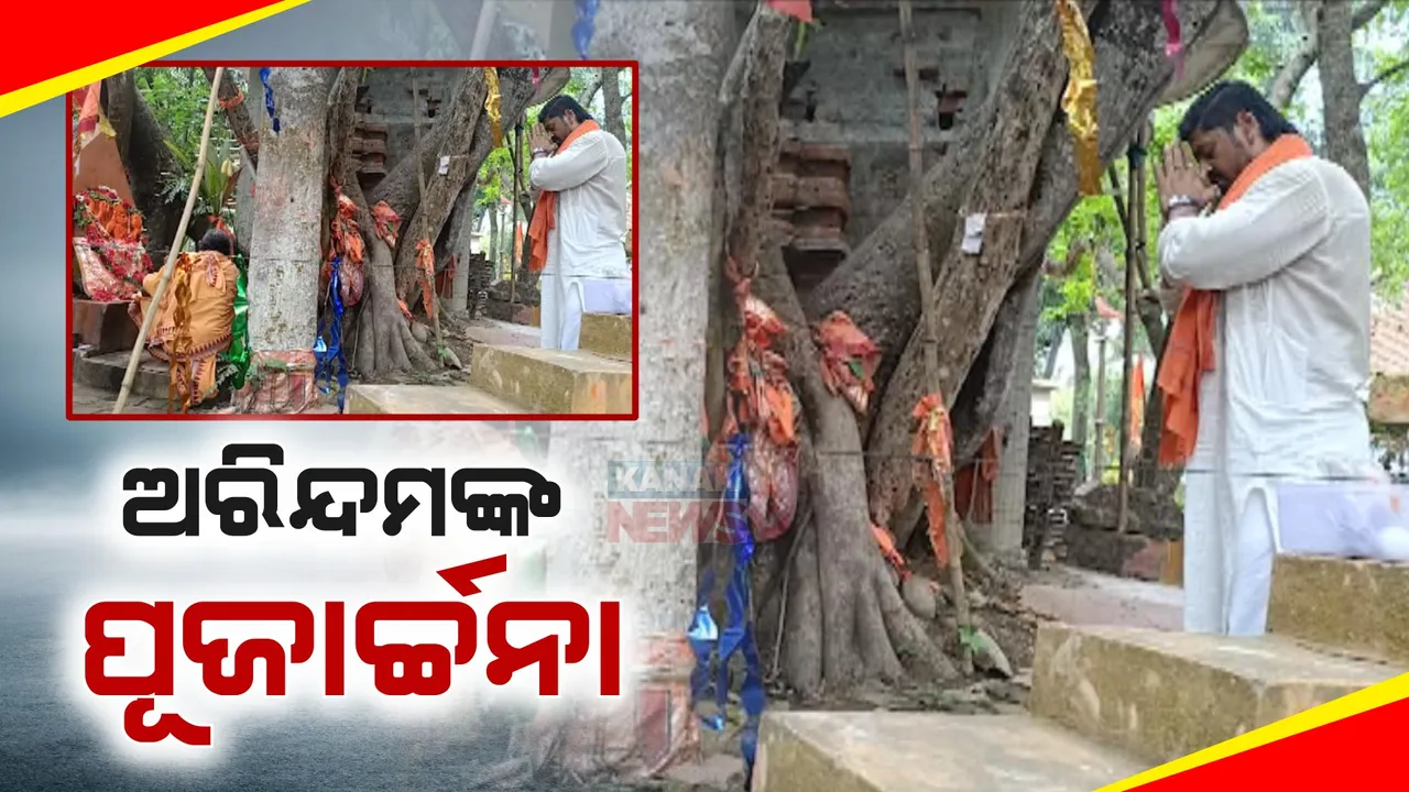  ସାଲେପୁରରେ ଜମୁଛି ପ୍ରଚାର: ଗାଁ ଗାଁରେ ବୁଲି ଭୋଟରଙ୍କୁ ଭେଟୁଛନ୍ତି ବିଜେପି ପ୍ରାର୍ଥୀ ଅରିନ୍ଦମ ରାୟ