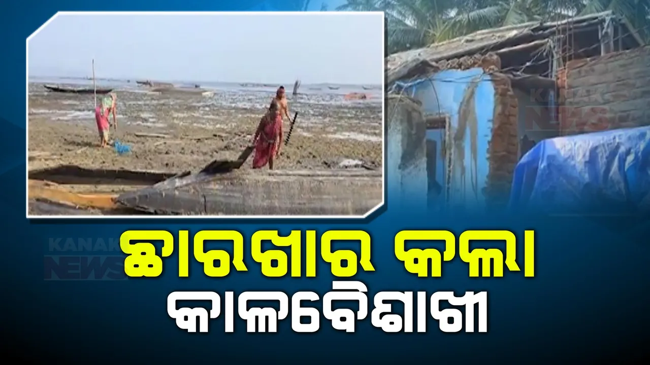  ପ୍ରବଳ ଗ୍ରୀଷ୍ମପ୍ରବାହ ଭିତରେ କାଳବୈଶାଖୀ ତାଣ୍ଡବ । କୃଷ୍ଣପ୍ରସାଦ ଅଞ୍ଚଳରେ ବର୍ଷା ପବନରେ ଭାଙ୍ଗିଲା ଘରଦ୍ୱାର, ୫ ଜଣ ଗୁରୁତର ।