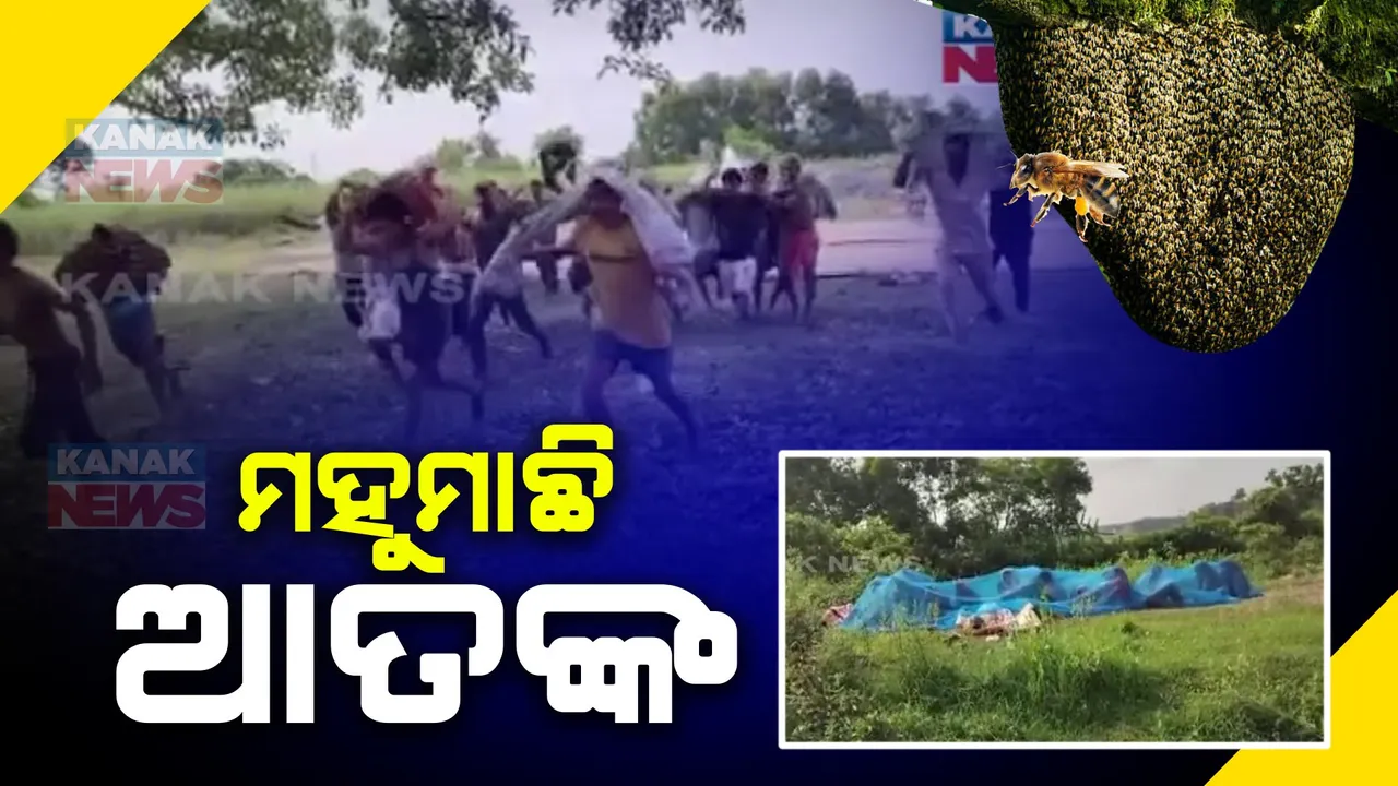  ଶବ ସତ୍କାର କରିବାକୁ ଗଲାବେଳେ ଶ୍ମଶାନରେ ମହୁମାଛି ଆକ୍ରମଣ । ୪ ଆହତ, ଗୁରୁତରଙ୍କୁ ଜଳେଶ୍ୱର ହସ୍ପିଟାଲ ସ୍ଥାନାନ୍ତର ।