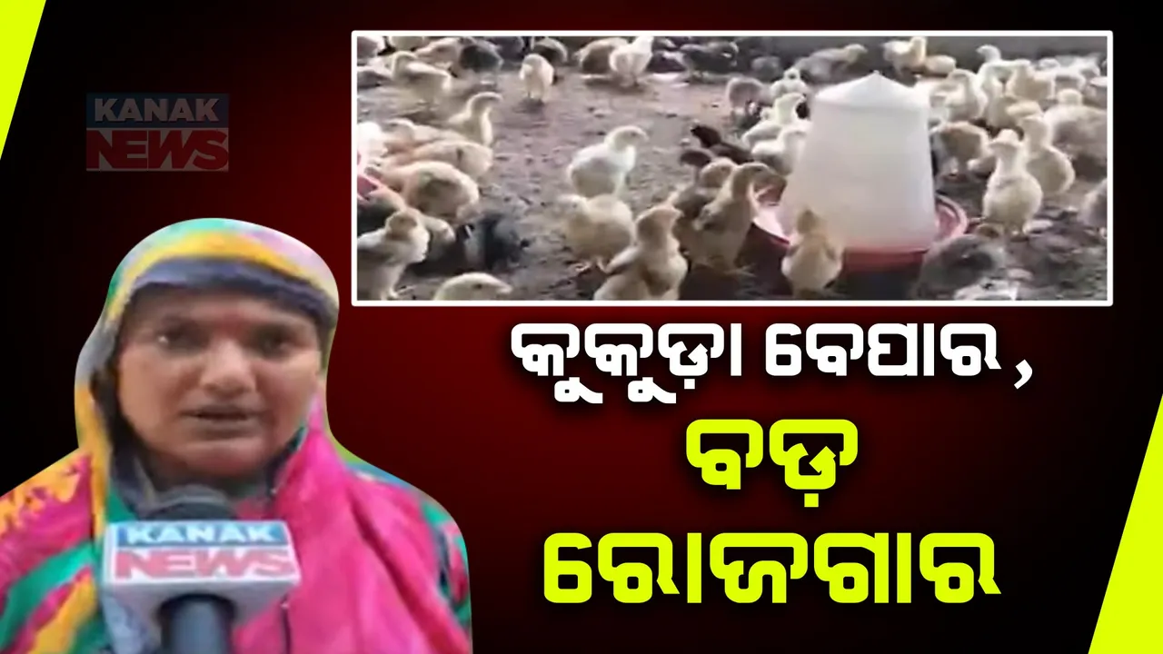  କୁକୁଡ଼ା ଚାଷ କରି ସ୍ୱାବଲମ୍ବୀ । ତିନୋଟି କୁକୁଡ଼ା ଫାର୍ମ କରି ଭଲ ରୋଜଗାର କରୁଛନ୍ତି ଭୋଗରାଇ ଗଣେଶ୍ୱରପୁର ଗାଁର ରିତାରାଣୀ ଜେନା