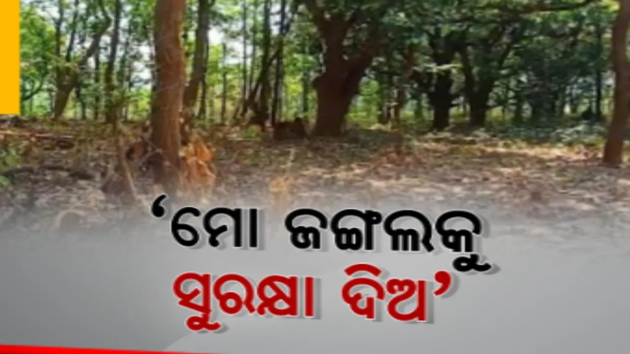  ପରିବେଶ ସୁରକ୍ଷା ପାଇଁ ଜଙ୍ଗଲ ସୃଷ୍ଟି କରୁଛନ୍ତି ଢେଙ୍କାନାଳର ଅଜୟ ସାମଲ । ସେପଟେ ଜଙ୍ଗଲରୁ ଶାଳ-ସାଗୁଆନ ଗଛ କାଟି ନେଉଛନ୍ତି ମାଫିଆ ।