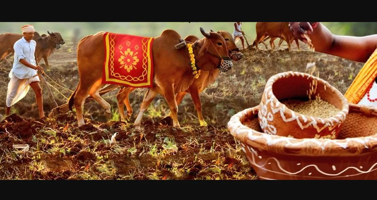  ଆଜିି ପବିତ୍ର ଅକ୍ଷୟ ତୃତୀୟା । ଅଖିମୁଠି ଅନୁକୂଳ କରିବେ ଚାଷୀ । ଏଥିପାଇଁ ତତ୍ପର ଚାଷୀକୂଳ ।