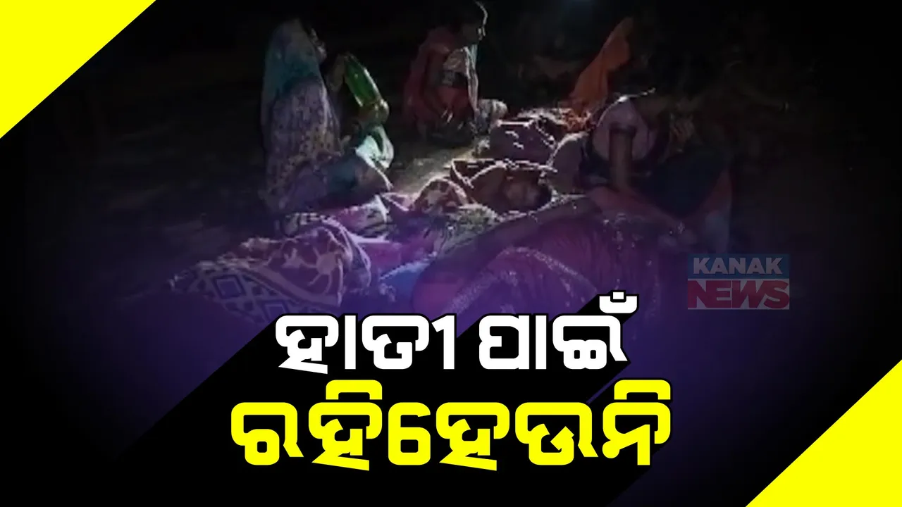  କଳାହାଣ୍ଡି କଲମପୁରରେ ଘାରୁଛି ହାତୀ ଭୟ: ୧୫ ଦିନ ହେଲାଣି ଗାଁରେ ଉତ୍ପାତ କରୁଛି ଗୋଠଛଡା ହାତୀ