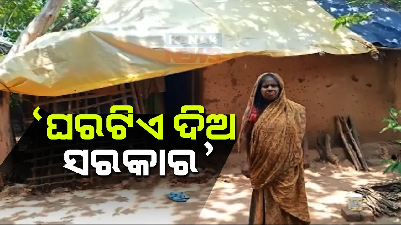  ମୁଣ୍ଡ ଉପରେ ନାହିଁ ଛାତ,ପାଖରେ ନାହାନ୍ତି ପରିବାର ସଦସ୍ୟ ଘରଟିଏ ପାଇଁ ସରକାରଙ୍କ ପାଖରେ ବାରମ୍ବାର ଗୁହାରି କରୁଛନ୍ତି କାଲିମେଳାର ୬୫ବର୍ଷିୟ ବୃଦ୍ଧା ।