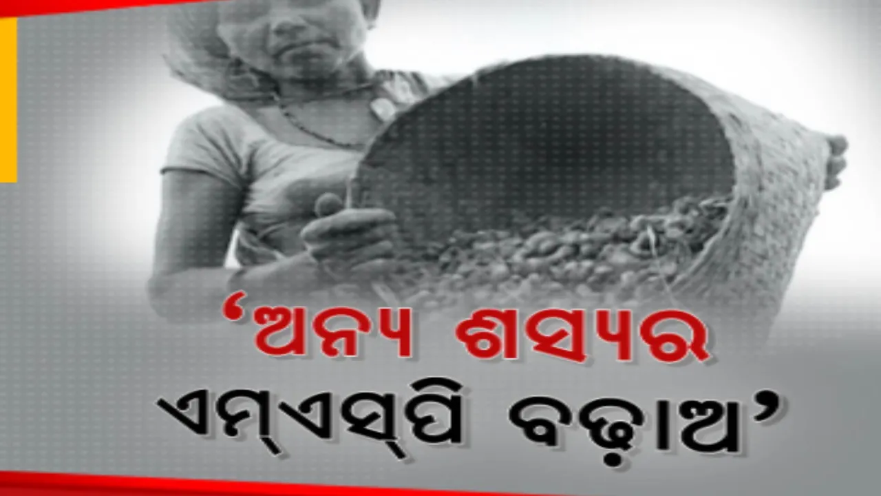  ଧାନ ପରି ବଢାଅ ଅନ୍ୟ ଶସ୍ୟର ସର୍ବନିମ୍ନ ସହାୟକ ମୂଲ୍ୟ,ବାଦାମ ମଣ୍ଡି ଖୋଲିଥିଲେ ବି ଆସୁନାହାନ୍ତି ଚାଷୀ  ।ବାଦାମ, ବିରି ଓ ମୁଗର ଏମଏସପି ବୃଦ୍ଧି ଦାବି