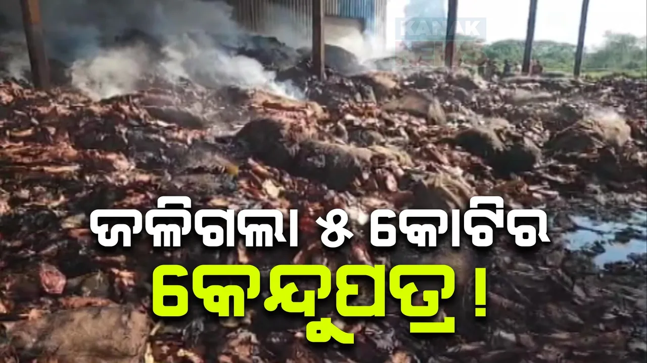  କେନ୍ଦୁପତ୍ର ଗୋଦାମରେ ଭୟଙ୍କର ଅଗ୍ନିକାଣ୍ଡ । ୫ କୋଟିରୁ ଅଧିକ ଟଙ୍କା କେନ୍ଦୁପତ୍ର ପୋଡି ପାଉଁଶ । ମାଲକାନଗିରି ଏମଭି-୩ ଗାଁରେ ଅଘଟଣ ।