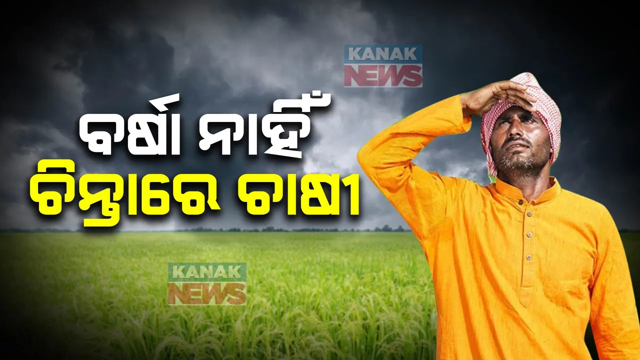  ବର୍ଷା ଅଭାବରୁ ଜମି ଫାଟି ଆଁ କଲାଣି ; ଚିନ୍ତାରେ ଚାଷୀ । କେବେ ସକ୍ରିୟ ହେବ ମୌସୁମୀ?