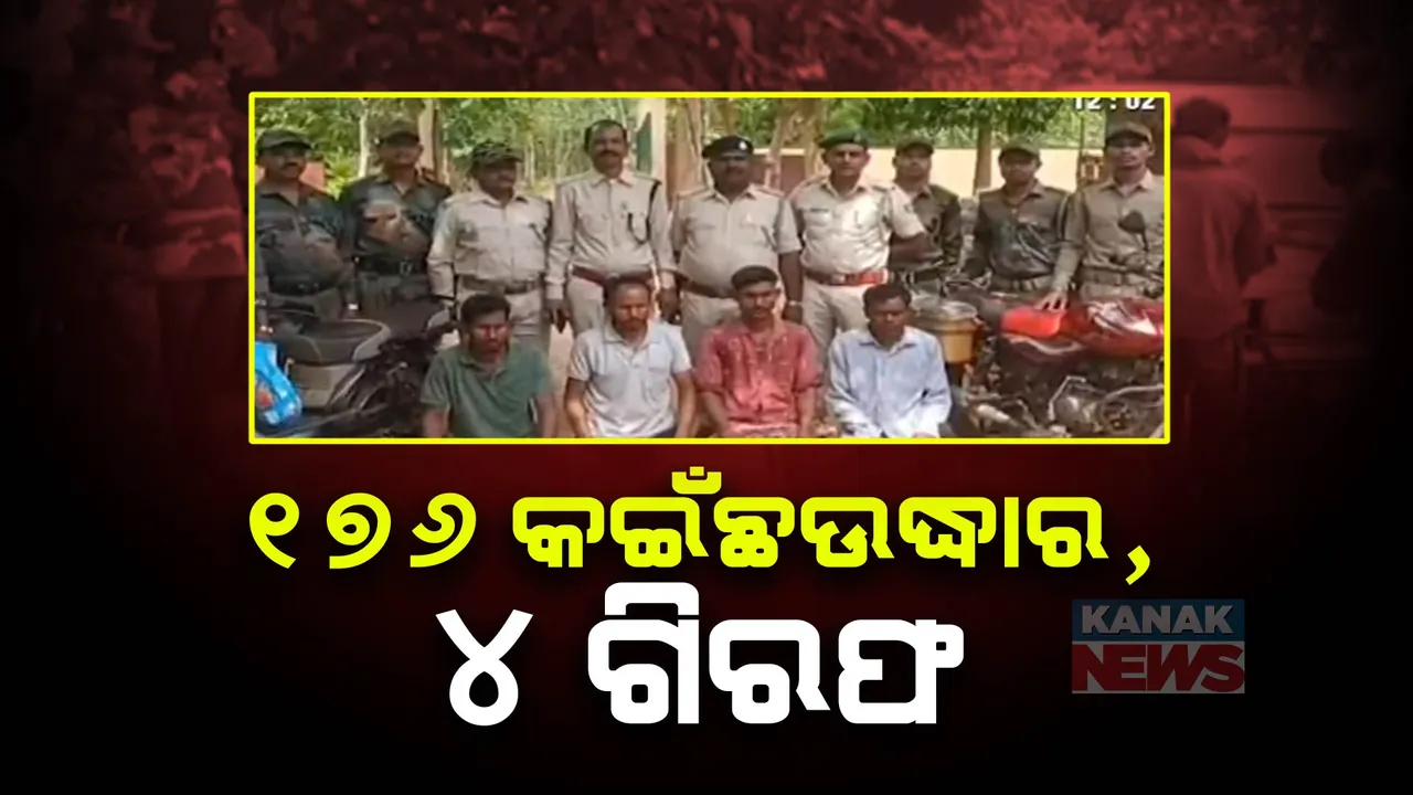  ଚୋରା କଇଁଛ ଚାଲାଣ ବେଳେ ମାଡି଼ ବସିଲା ବନ ବିଭାଗ । ୧୭୬ କଇଁଛ ଉଦ୍ଧାର ୪ ଅଭିଯୁକ୍ତ ଗିରଫ ।