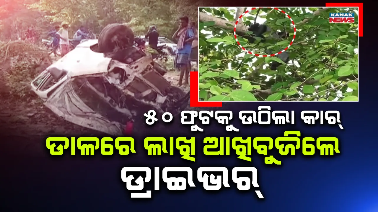 ଗଛରେ ପିଟି ହୋଇ ୫୦ ଫୁଟ ଉପରକୁ ଉଠିଗଲା କାର; ବାହାରକୁ ଛିଟିକି ପଡି ଚାଲିଗଲା ଡ୍ରାଇଭର ଜୀବନ ।