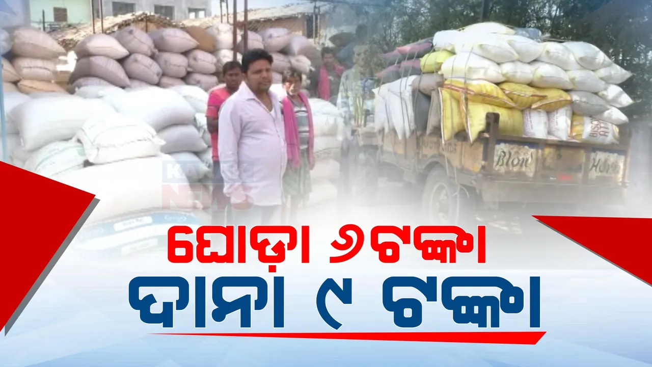  ଧାନ କିଣାରେ ଦୁର୍ନୀତି ଅଭିଯୋଗ: କିଣାବିକା ନେଇ କୋଟି କୋଟି ଟଙ୍କା ହେରଫେର ଅଭିଯୋଗ