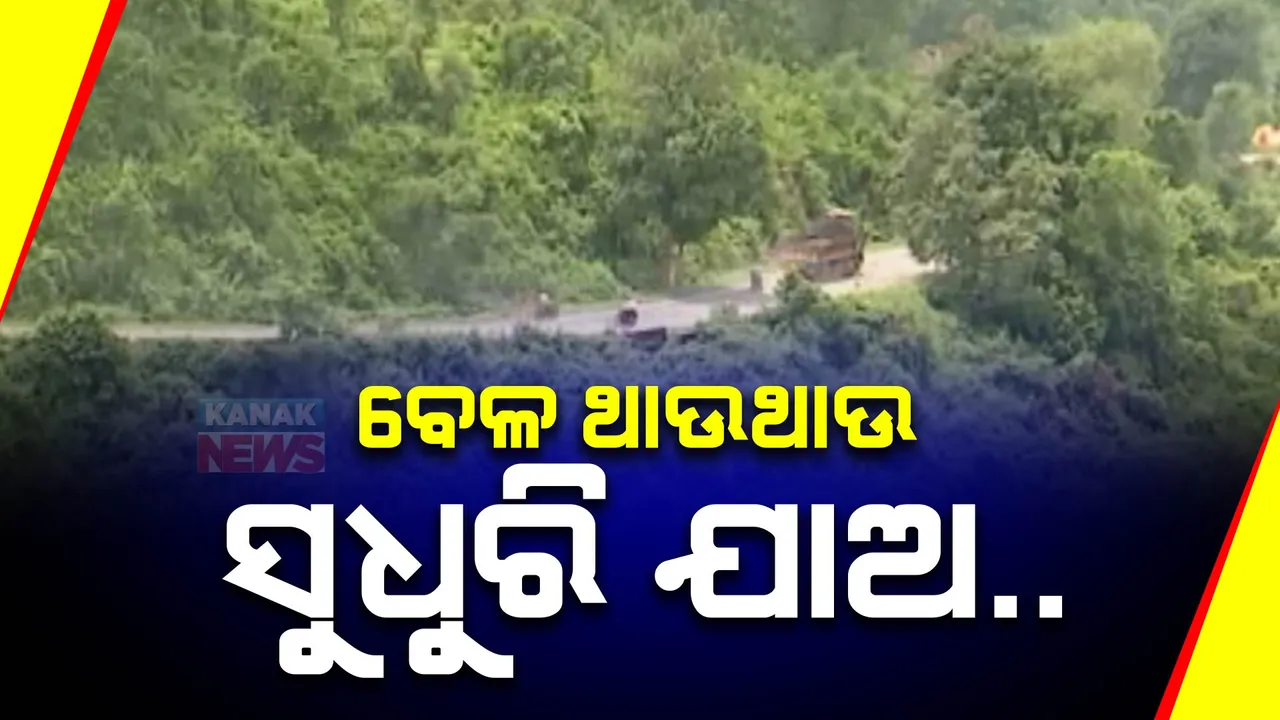  ଗଛ କାଟିବା ନେଇ ଜୟପୁରର ବୁଦ୍ଧିଜୀବୀ ଓ ବୈଜ୍ଞାନିକଙ୍କ ଚେତାବନୀ । କହିଲେ, ଗଛ କାଟିବା ଆଗରୁ ଲଗାଅ ଗଛ, ନହେଲେ ...