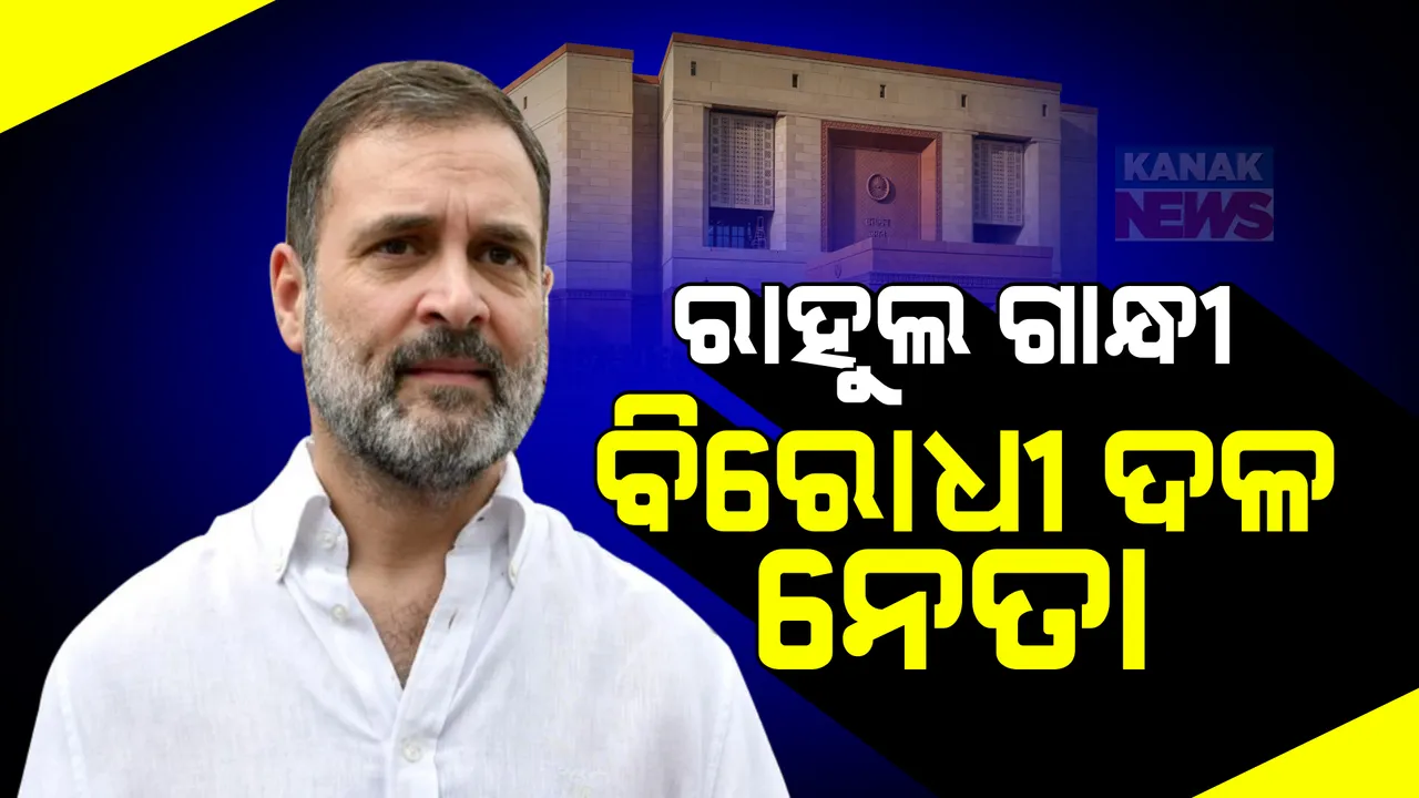  ଲୋକସଭାରେ ରାହୁଲ ଗାନ୍ଧୀ ହେବେ ବିରୋଧୀ ଦଳ ନେତା: ଇଣ୍ଡି ମେଣ୍ଟ ବୈଠକରେ ହେଲା ନିଷ୍ପତ୍ତି
