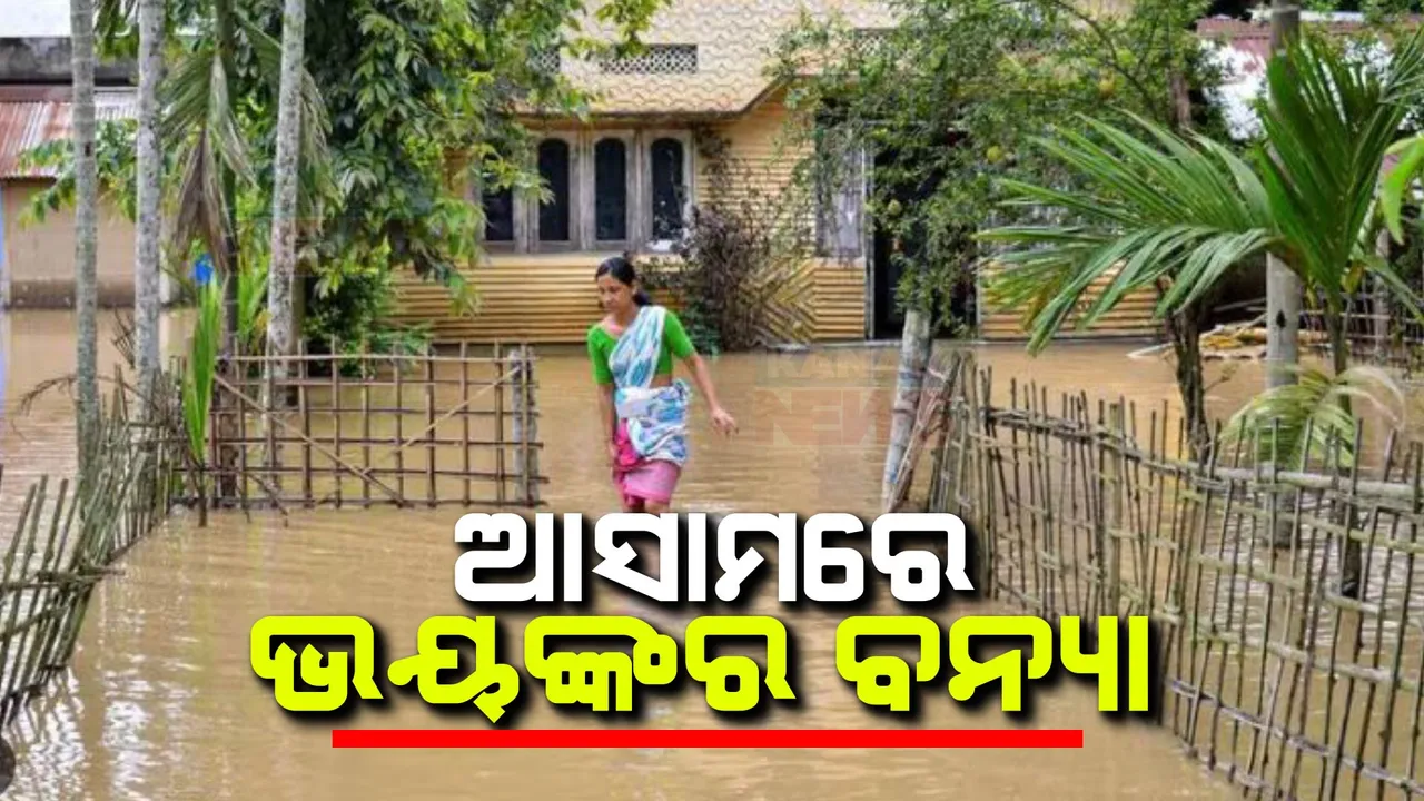  ଲଗାଣ ବର୍ଷା ପରେ ଆସାମର ହାଲ୍ ବେହାଲ୍ । ଭୟଙ୍କର ବନ୍ୟା ସ୍ଥିତି । ଜଳବନ୍ଦୀ ଜୀବନ ।