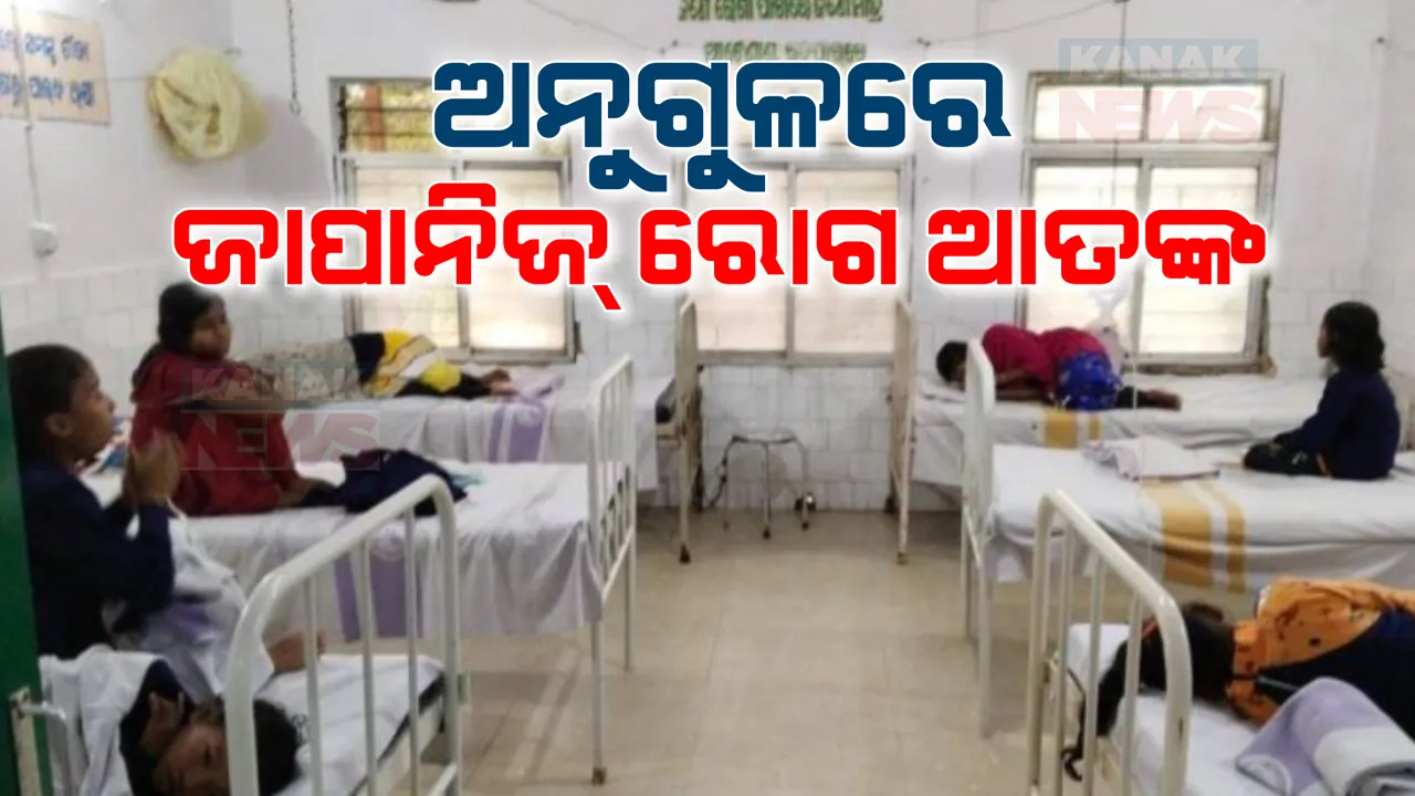  ଅନୁଗୁଳରେ ଜାପାନିଜ୍ ରୋଗ ଆତଙ୍କ । ନଜର ରଖିଛି ସ୍ୱାସ୍ଥ୍ୟ ବିଭାଗ