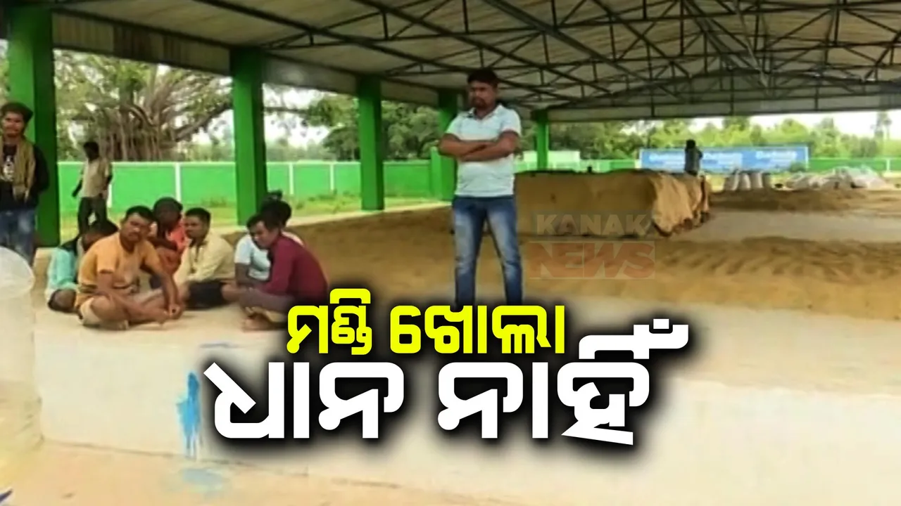  ମଣ୍ଡି ଖୋଲା, ଧାନ ନାହିଁ । ଧାନ ବିକିବା ପାଇଁ ଏମଏସପି ବୃଦ୍ଧି ଅପେକ୍ଷାରେ ଚାଷୀ ।