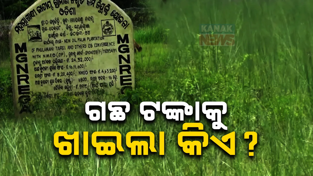  ପାମ୍ ଅଏଲ ପ୍ଲାଣ୍ଟେସନ ନାମରେ ଦୁର୍ନୀତି ଅଭିଯୋଗ । ଉଦଳାରେ ଉଦ୍ୟାନ ନାଁରେ ମିଛ ତଥ୍ୟ ଦେଇ ଲକ୍ଷାଧିକ ଟଙ୍କା ହରିଲୁଟ୍