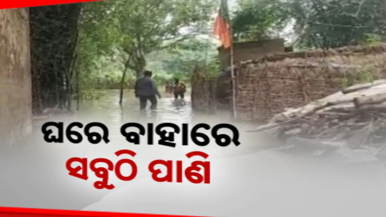  ବସ୍ତାରେ ଲଘୁଚାପ ଲଗଣା ବର୍ଷାର ବେହାଲ ଚିତ୍ର । ପାଣି ଘରରେ ଥିବା ଲୋକଙ୍କୁ ସ୍ଥାନାନ୍ତର ପାଇଁ ପ୍ରଶାସନର ପ୍ରସ୍ତୁତି 