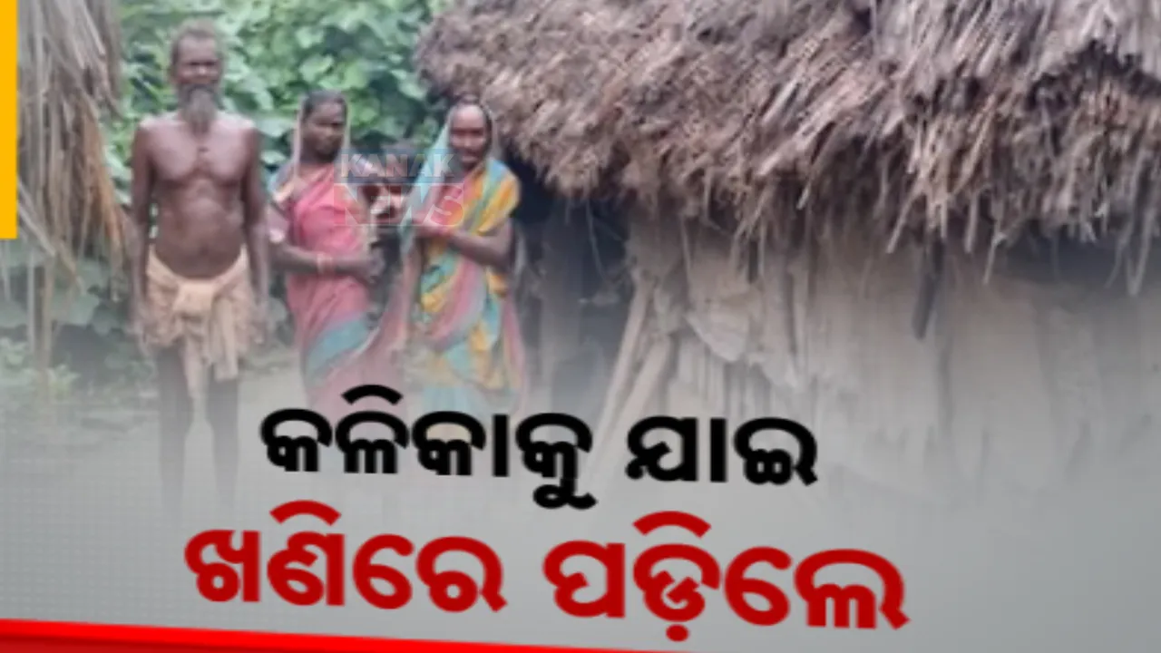  କୁନି କୁନି ଶିଶୁଙ୍କ ପାଇଁ କାଳ ପାଲଟିଲା କଳିକା କେନ୍ଦ୍ର । ହାଟଡିହିରେ ମୋରମ ଖାଦାନରେ ପଡି ୩ ଶିଶୁ ମୃତ