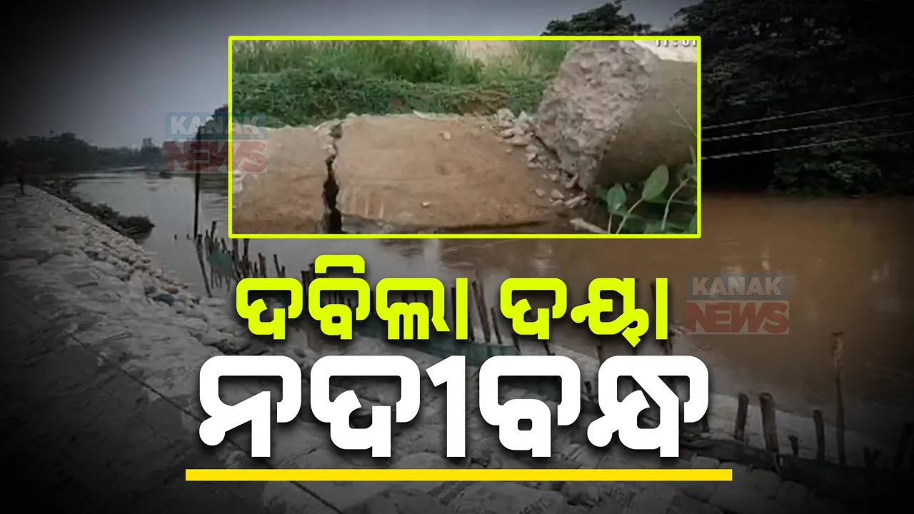  ଦବିଲା ଦୟା ନଦୀବନ୍ଧ ; ବାଲିବସ୍ତା ପକାଇ ଚାଲିଛି ମରାମତି , ଭୟଭୀତ ନଦୀକୂଳିଆ ବାସିନ୍ଦା