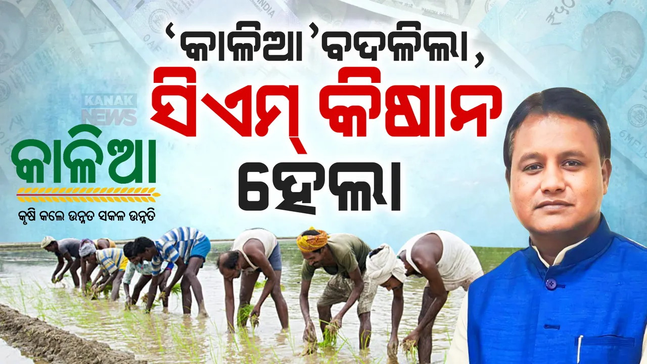  ବଦଳିଲା କାଳିଆ ଯୋଜନାର ନାମ । କାଳିଆ ଯୋଜନା ହେଲା ସିଏମ୍ କିଷାନ ଯୋଜନା । ଜାଣନ୍ତୁ ବଜେଟରେ ସରକାର କଲେ କେତେ ଟଙ୍କା ବ୍ୟୟ ବରାଦ