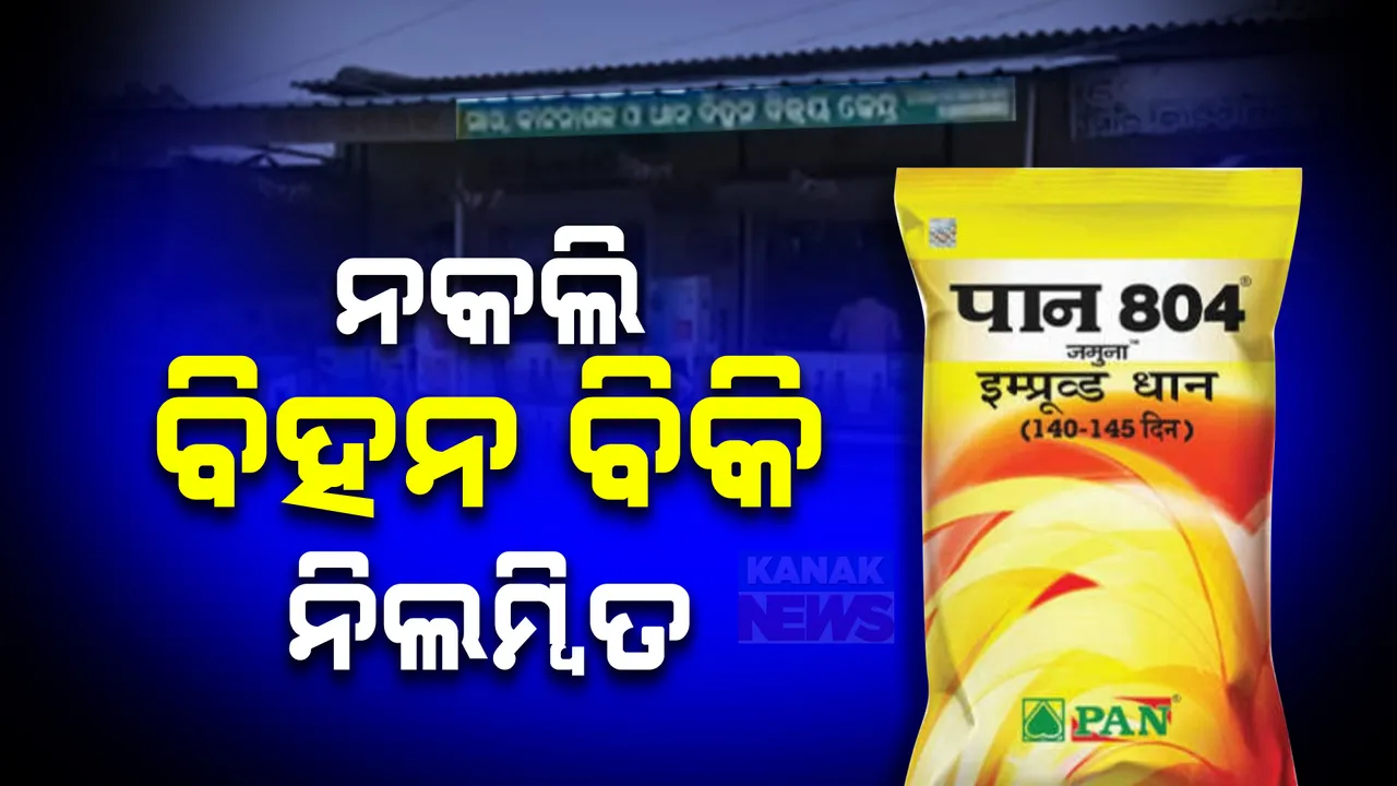  ବରଗଡ଼ରେ ନକଲି ବିହନ ବିକ୍ରି ଘଟଣାରେ କାର୍ୟ୍ୟାନୁଷ୍ଠାନ ; ୪ ବ୍ୟବସାୟୀଙ୍କ ଲାଇସେନ୍ସ ବାତିଲ , ୨ ଜଣ ନିଲମ୍ବିତ