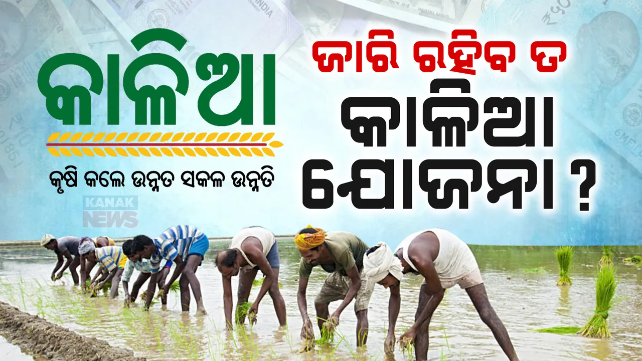  ରାଜ୍ୟରେ ଜାରି ରହିବ ତ କାଳିଆ ଯୋଜନା ? ପ୍ରଶ୍ନ କଲେ ବିଧାୟକ, କଣ କହିଲେ କୃଷି ମନ୍ତ୍ରୀ...