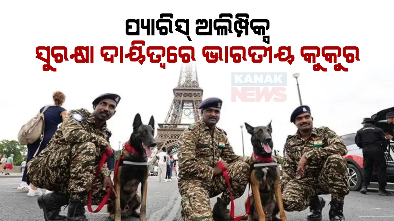  ପ୍ୟାରିସ ଅଲିମ୍ପିକ୍ସ ସୁରକ୍ଷା ବ୍ୟବସ୍ଥାରେ ନିୟୋଜିତ ହେବେ ସୁରକ୍ଷାକାରୀ ଭାରତୀୟ କେ-୯ କୁକୁର ଦଳ । ଜାଣନ୍ତୁ ଏହି ପ୍ରଜାତିର କୁକୁରଙ୍କ ସ୍ୱତନ୍ତ୍ରତା