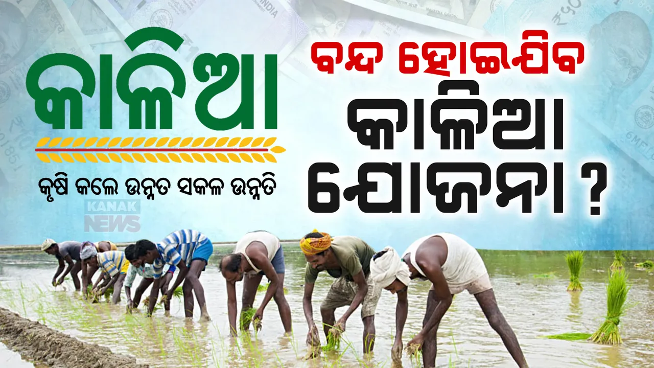  ବନ୍ଦ ହେବ କି କାଳିଆ ଯୋଜନା ? ଦ୍ୱନ୍ଦ୍ୱ ବଢ଼ାଇଲା ବିଧାନସଭାରେ ମନ୍ତ୍ରୀଙ୍କ ଉତ୍ତର
