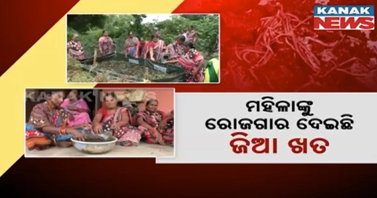  ଝାରସୁଗୁଡା ଦଲକି ପଂଚାୟତ ଏସଏଚଜି ମହିଳାଙ୍କ ନିଆରା ଉଦ୍ୟମ । ଜିଆଖତ ପ୍ରସ୍ତୁତ କରି କରୁଛନ୍ତି ବିକ୍ରି