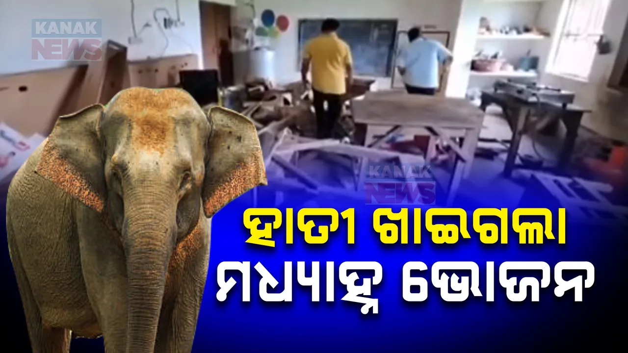  ହାତୀ ଖାଇଗଲା ମଧ୍ୟାହ୍ନ ଭୋଜନ, ଢେଙ୍କାନାଳ ମହାବିରୋଡ଼ ରେଞ୍ଜ ମଝିକା ବିଦ୍ୟାଳୟରେ ପଶି ଚାଉଳ ଖାଇଗଲା ଜଙ୍ଗଲି ହାତୀ ।