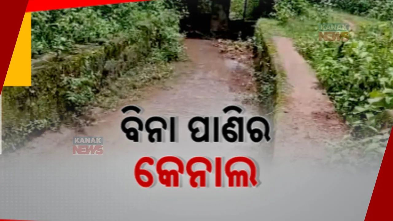  କେନାଲ ଅଛି, ଜମିରେ ପହଞ୍ଚୁନି ପାଣି: କୋରାପୁଟ ଜିଲ୍ଲା ବୈପାରୀଗୁଡାରେ ଅଛି ବିନା ପାଣିର କେନାଲ