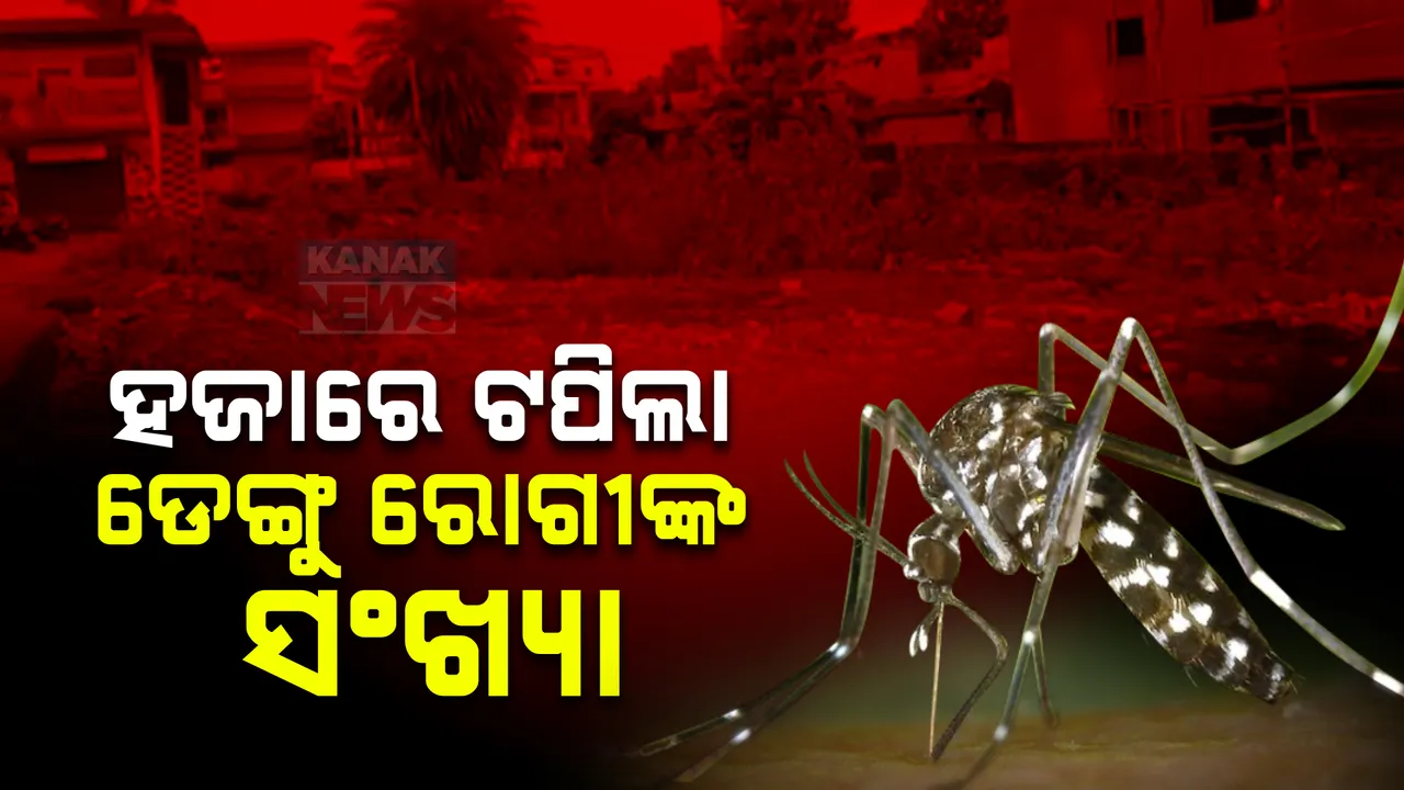  ରାଜ୍ୟରେ ଚିନ୍ତାଜନକ ଡେଙ୍ଗୁ ସ୍ଥିତି । ବର୍ତ୍ତମାନ ସୁଦ୍ଧା ହଜାରେ ଟପିଲା ରୋଗୀଙ୍କ ସଂଖ୍ୟା 