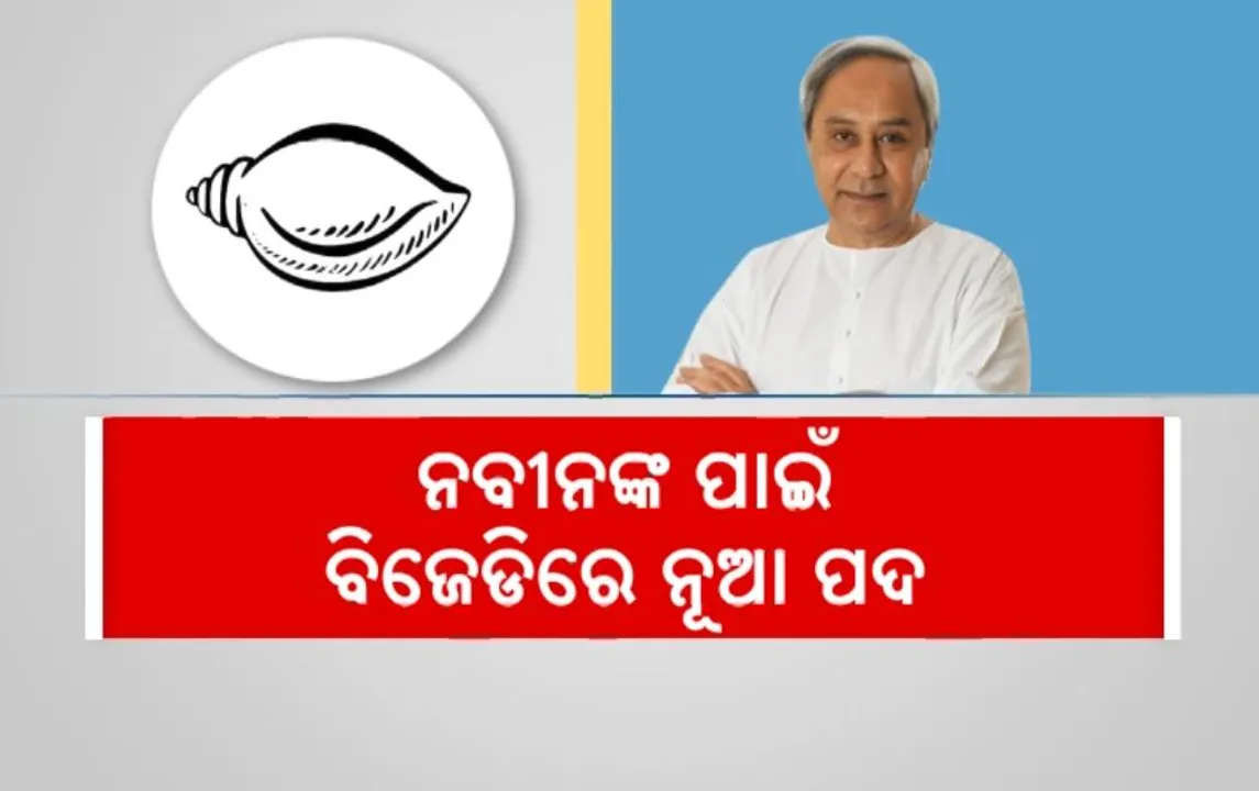  ନବୀନଙ୍କ ପାଇଁ ବିଜେଡିରେ ନୂଆ ପଦ: ନିଜ କାନ୍ଧକୁ ନେଲେ ଦିଲ୍ଲୀ ଦାୟିତ୍ବ, ସୃଷ୍ଟି କଲେ ସଂସଦୀୟ ଦଳର ଅଧ୍ୟକ୍ଷ ପଦ
