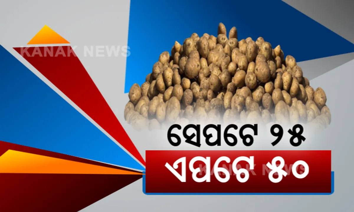  ଓଡ଼ିଶା ସୀମା ଡେଇଁଲେ ଆଳୁ ଦାମ ଅଧା: ସୀମା ଆରପଟେ କିଲୋ ପିଛା ଦର ୨୫ରୁ ୩୦ଟଙ୍କା, ସୀମା ଏପଟେ ଓଡିଶାରେ ଦର ୪୦ରୁ ୪୫ ଟଙ୍କା