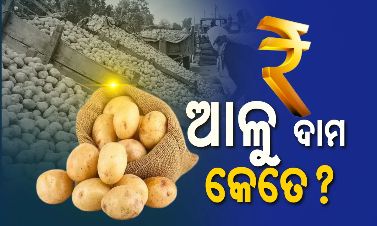  ଓଡ଼ିଶା ବଜାରରେ ଆଳୁର ଅଭାବ, ଭୁବନେଶ୍ବର ୧ନମ୍ବର ହାଟରେ ଆଳୁ ଦରର ରିଆଲିଟୀ ଚେକ୍ । ବୋର୍ଡରେ ଲେଖା ଅଛି ୩୫, ହେଲେ ୪୫ଟଙ୍କାରେ ମିଳୁଛି ଆଳୁ