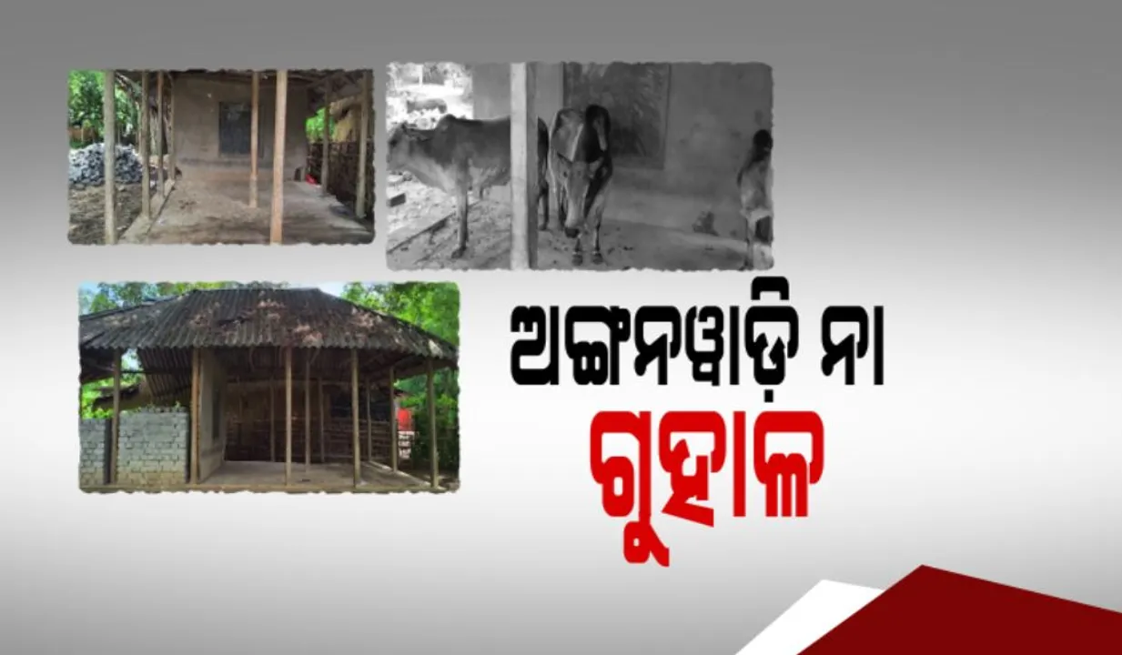  ଅବ୍ୟବସ୍ଥିତ ଅଙ୍ଗନୱାଡି କେନ୍ଦ୍ର । ରାତିରେ ପାଲଟୁଛି ଗାଇ ଗୁହାଳ । ସକାଳେ ଗୋବର ସଫା କରି ପାଠ ପଢୁଛନ୍ତି କୁନି କୁନି ପିଲା