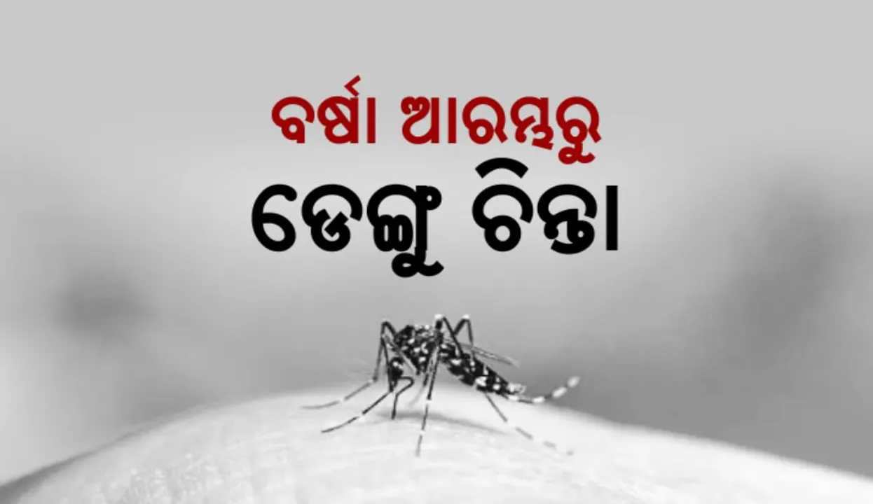  ବର୍ଷା ଆରମ୍ଭରୁ ଡେଙ୍ଗୁ ଚିନ୍ତା: ଗତବର୍ଷ ତୁଳନାରେ ଏଥର ଅଧିକ ଆକ୍ରାନ୍ତ