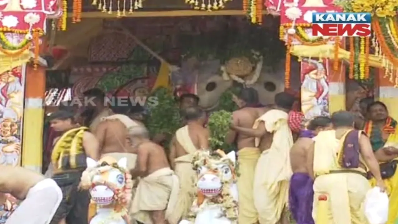  ତୁଳସୀ, ପୁଷ୍ପରେ ସଜ ହେଲଣି ମହାପ୍ରଭୁ , ପ୍ରସ୍ତୁତ ହେଲେଣି ଦାରୁକ: ଆଉ କିଛି ସମୟର ଅପେକ୍ଷା , ଗଡିବେ ୩ ରଥ