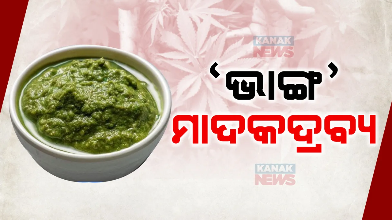  ମାଦକ ଦ୍ରବ୍ୟରେ ସାମିଲ ହେଲା ଭାଙ୍ଗ । ରାଜ୍ୟରେ ନିଶାମୁକ୍ତ ଅଭିଯାନଙ୍କୁ ସକ୍ରିୟ କରିବାକୁ ଅବକାରୀ ବିଭାଗର ବଡ଼ ଘୋଷଣା 