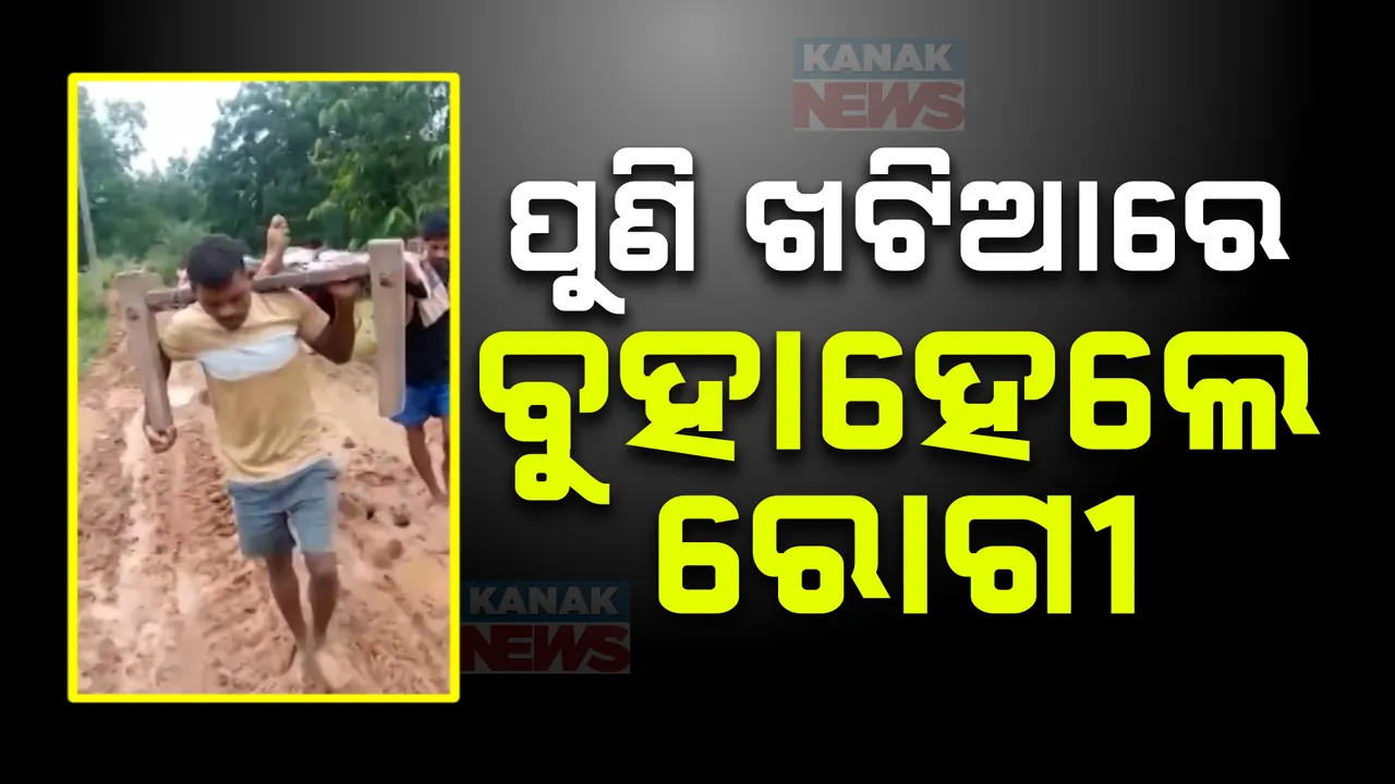  ଏମିତି ଆମ ବ୍ୟବସ୍ଥା ! କାଦୁଅ ପଚପଚ ରାସ୍ତାରେ ୧କିମି ଯାଏ ଖଟିଆରେ ବୁହାହେଲେ ରୋଗୀ