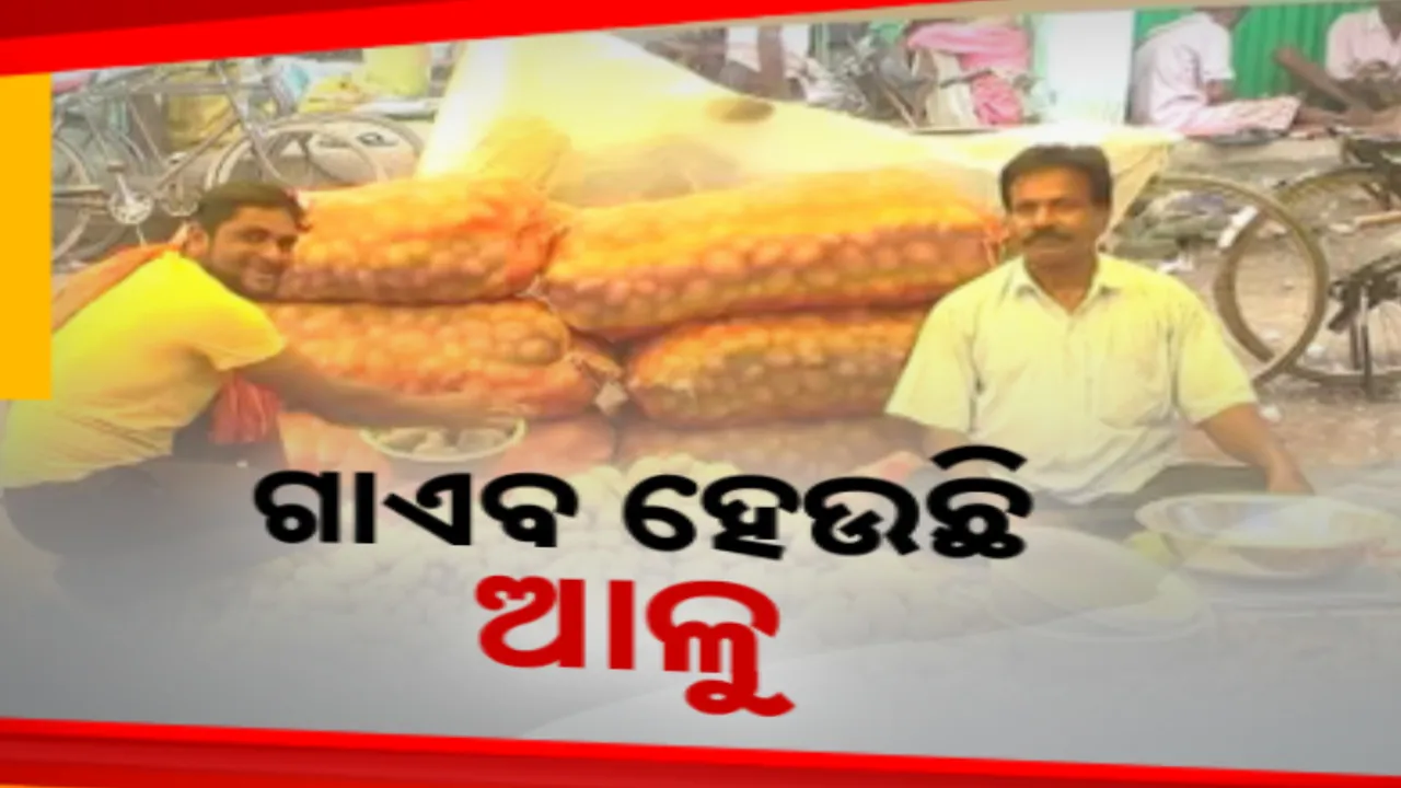  ରାଜ୍ୟରେ ଆଳୁ ସଂକଟ, ସବୁଠି ୬୦ ଉପରେ ଦର । ପ୍ରଭାବିତ ଖାଉଟି