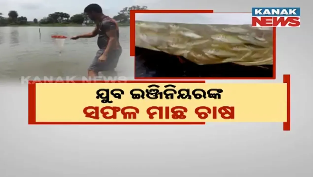  ଯୁବ ଇଞ୍ଜିନିୟରଙ୍କ ମାଛ ଚାଷ । ୭ ଏକର ଜମିରେ ବିଭିନ୍ନ ପ୍ରକାର ମାଛ ସହ ଯାଆଁଳ ଚାଷ କରି ହେଉଛନ୍ତି ଲାଭବାନ